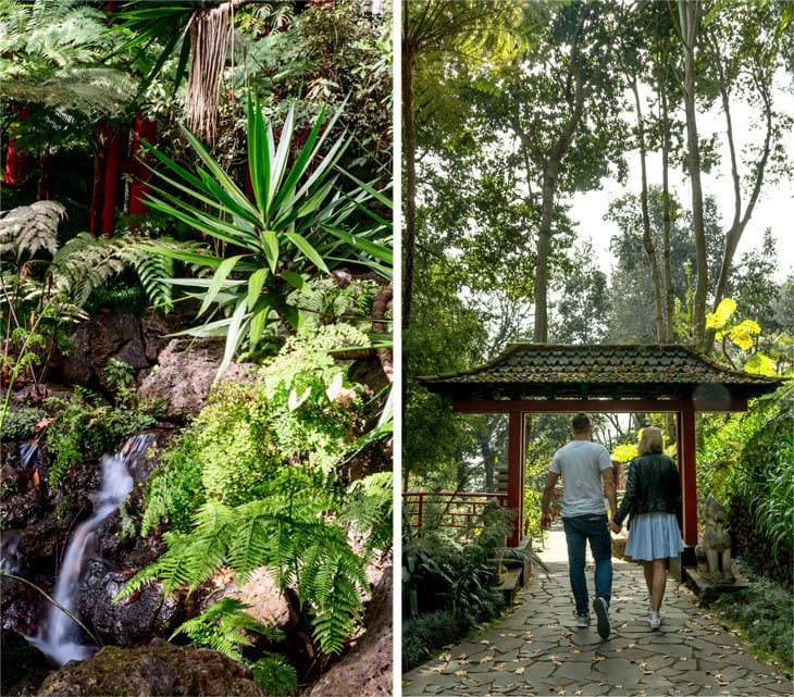 Madera - monte tropical garden 