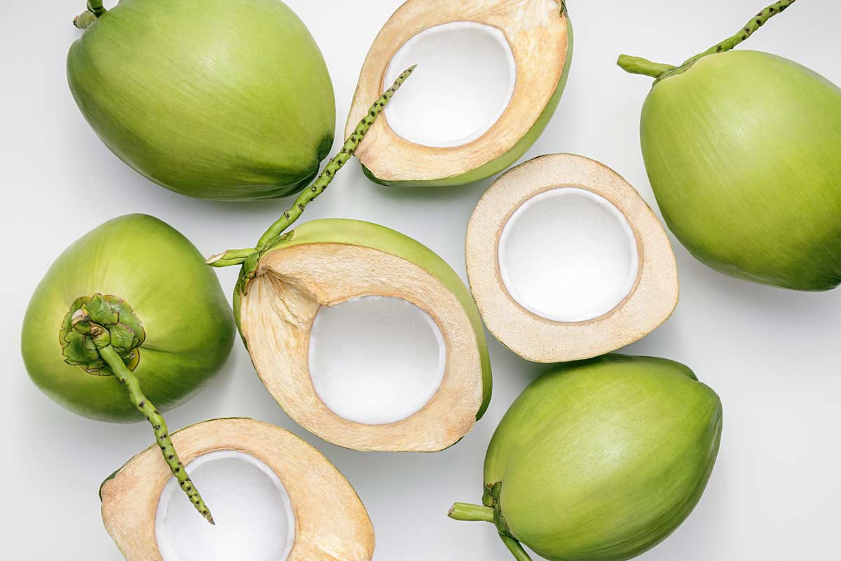 orzech kokosowy przekrój