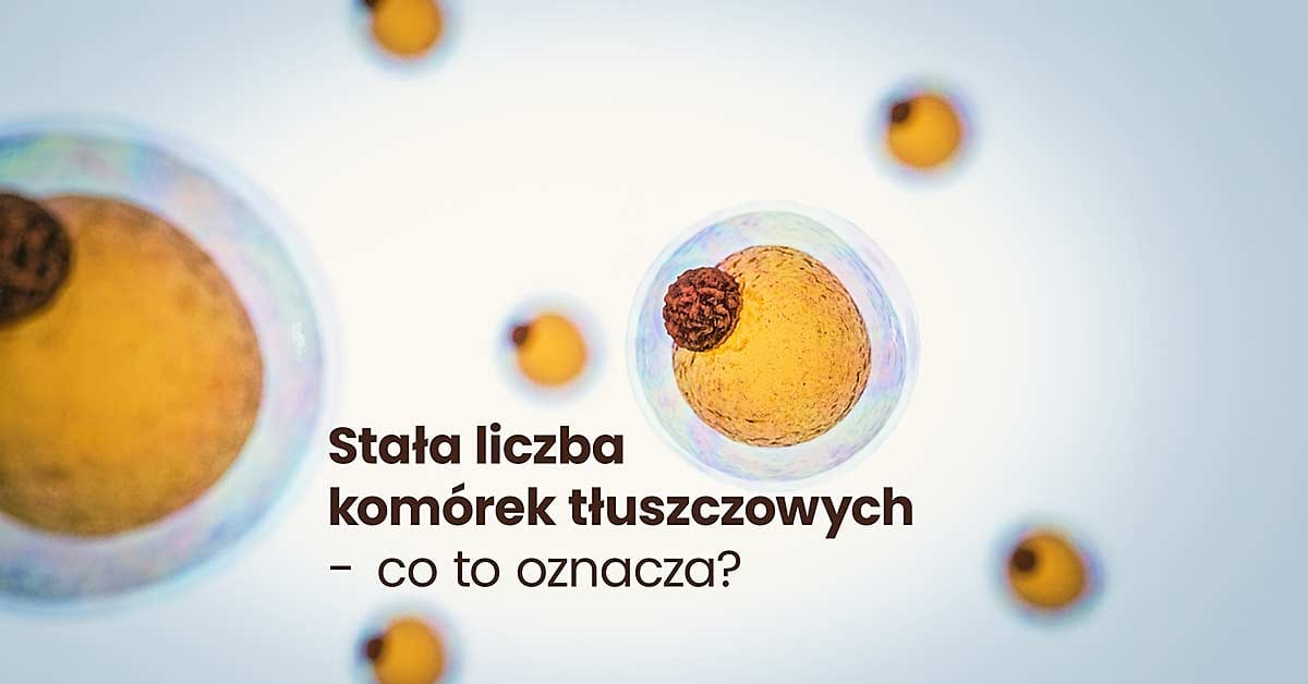 stała liczba komórek tłuszczowych