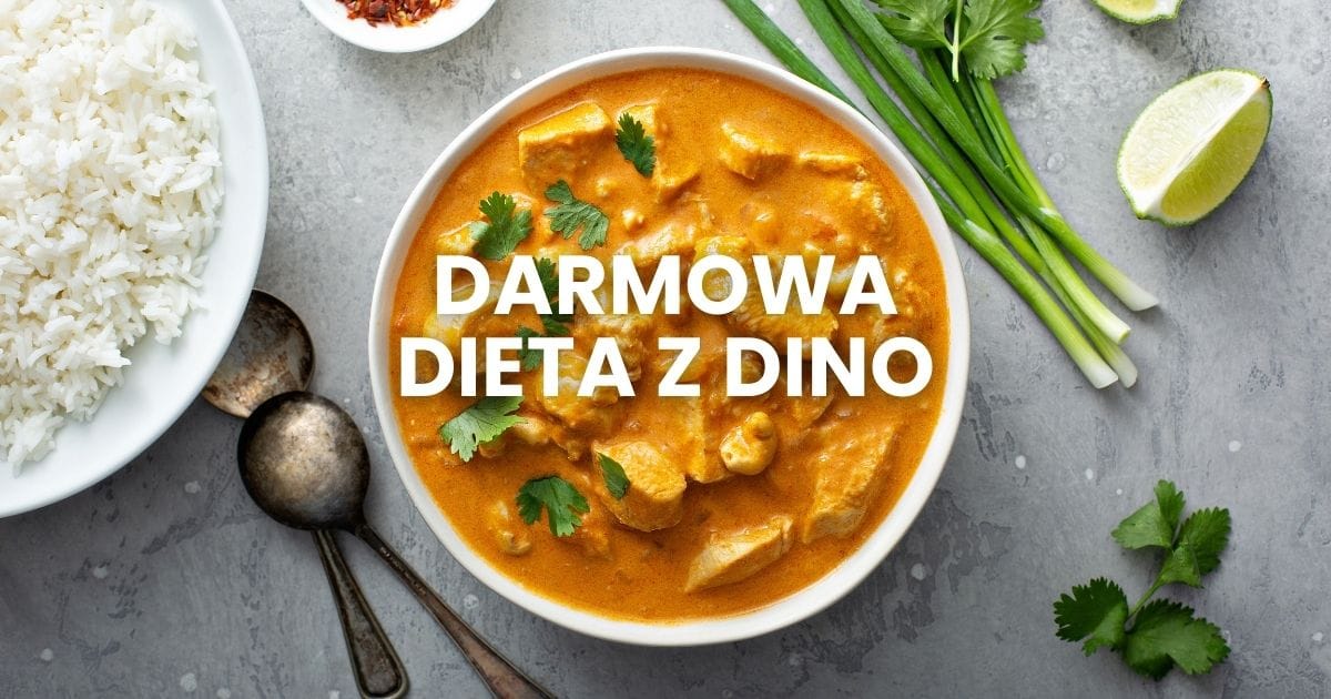 darmowa dieta z dino na tle curry z ryżem